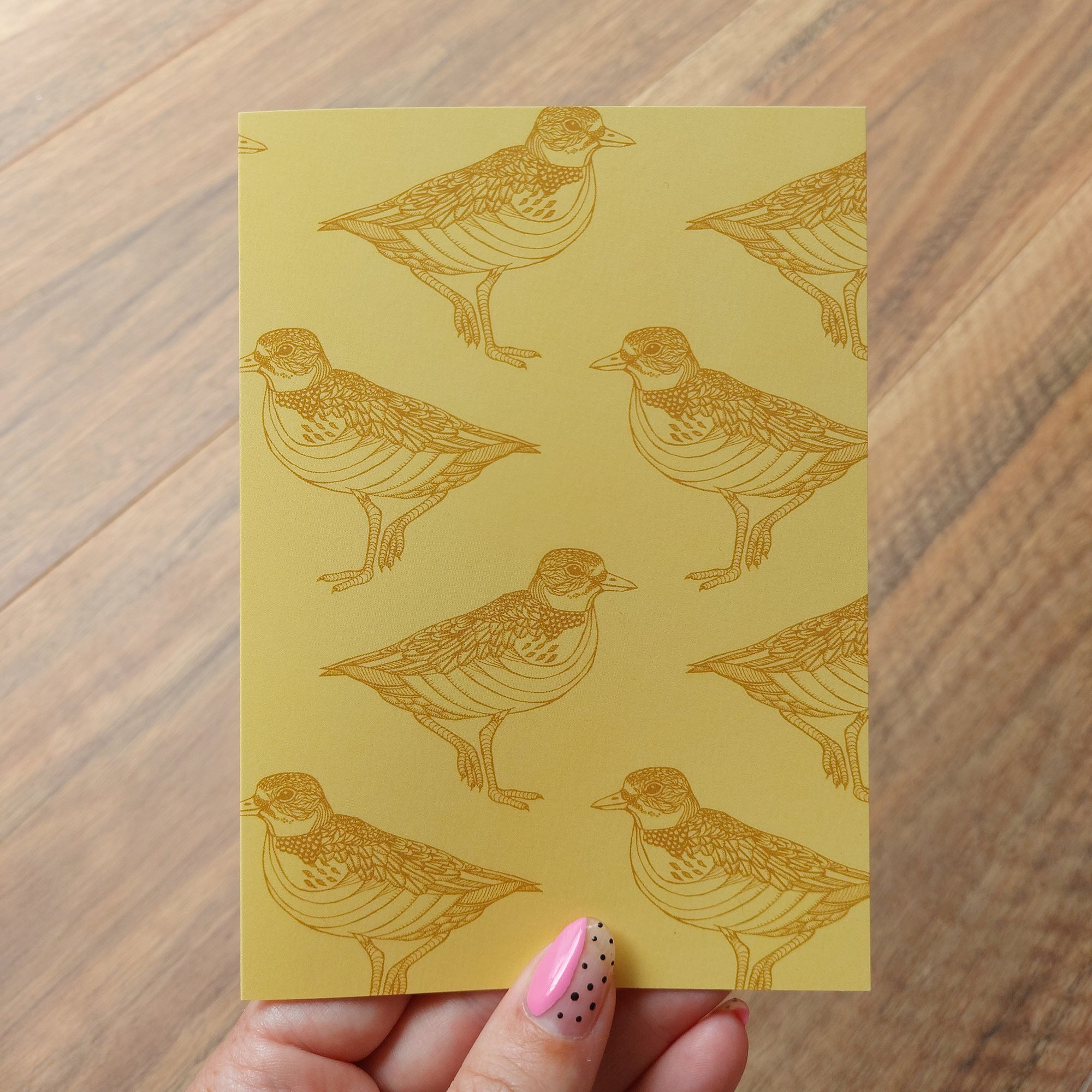 NZ Native Birds Outlined Greeting Cards