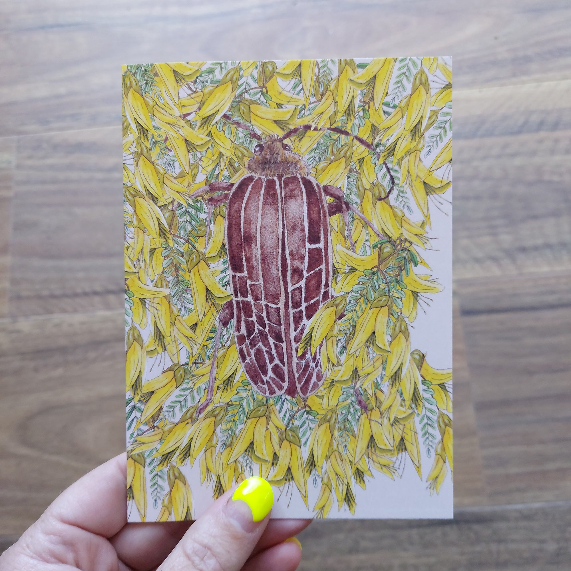 Penny + Lesh Collab Collection, Penny + Lesh Collab, Penny+Lesh Collab Greeting Cards, Penny Royal Design, Cards + Colouring + Decals
