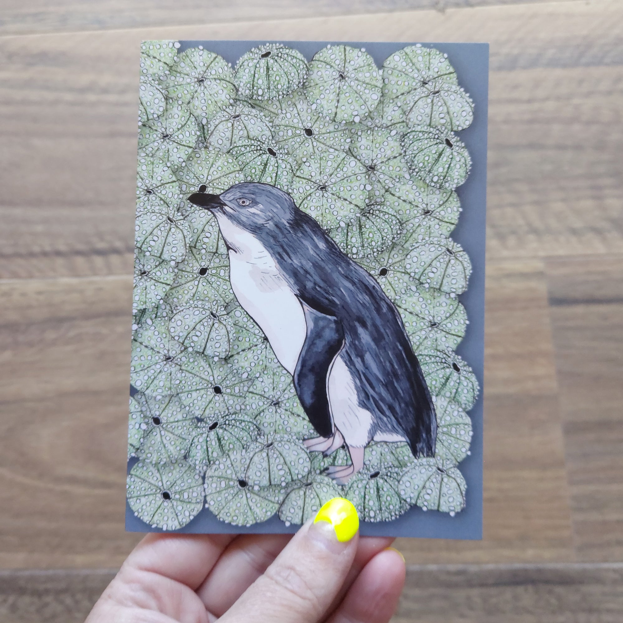 Penny + Lesh Collab Collection, Penny + Lesh Collab, Penny+Lesh Collab Greeting Cards, Penny Royal Design, Cards + Colouring + Decals