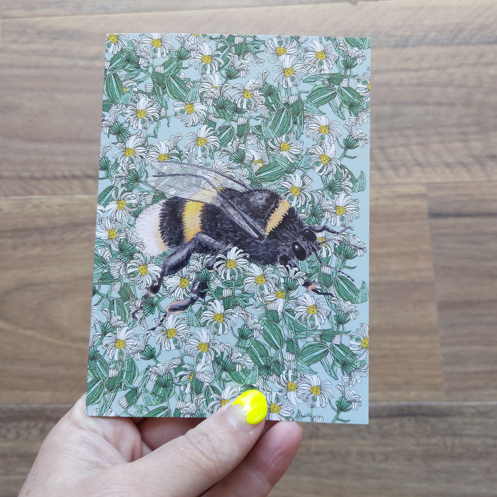 Penny + Lesh Collab Collection, Penny + Lesh Collab, Penny+Lesh Collab Greeting Cards, Penny Royal Design, Cards + Colouring + Decals