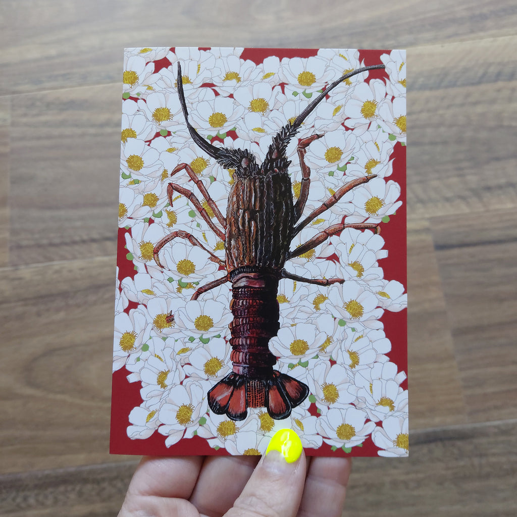 Penny + Lesh Collab Collection, Penny + Lesh Collab, Penny+Lesh Collab Greeting Cards, Penny Royal Design, Cards + Colouring + Decals