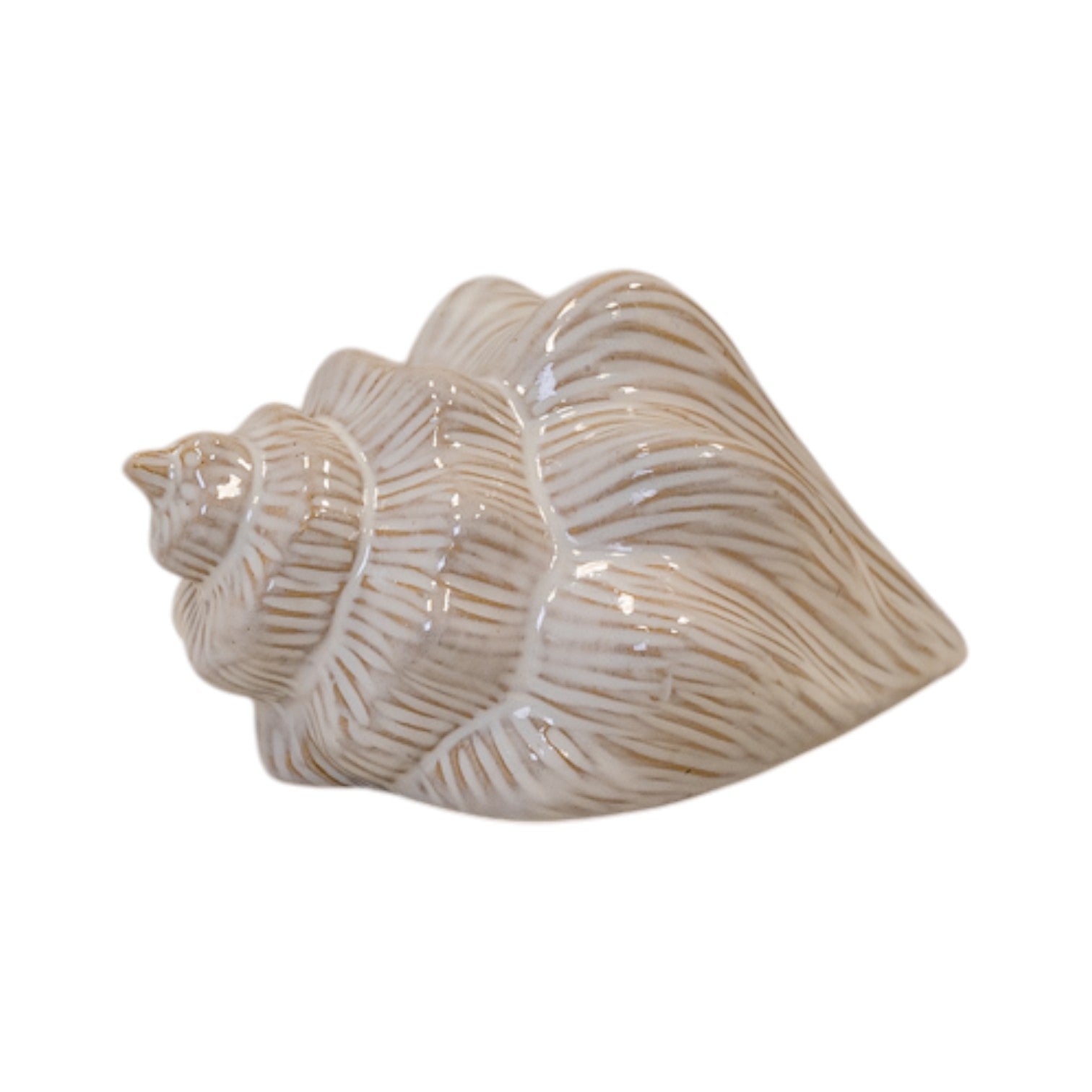 Glazed Ceramic Shell Ornament with Textured Detail