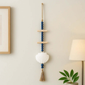 Driftwood seashell wall hanging for Home Decor wall hanging Sea Shells