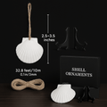 Natural scallop shell ornaments 16PCS for home decor