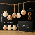 Natural scallop shell ornaments Sea Shells With Rope for Home Decor